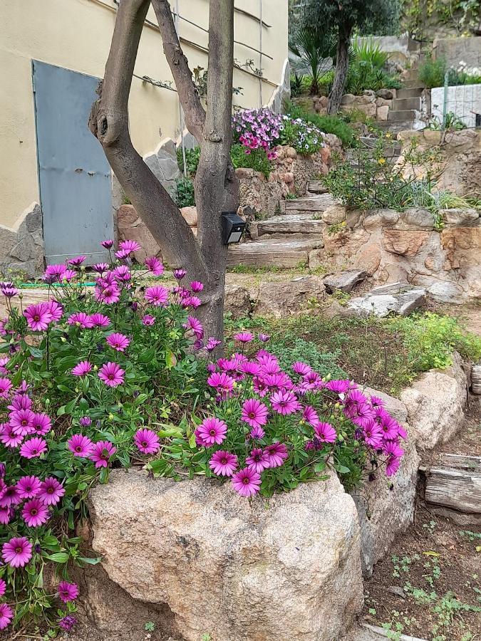 קאפוטרה Invit Arti B&B מראה חיצוני תמונה